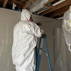 Mold Removal Service